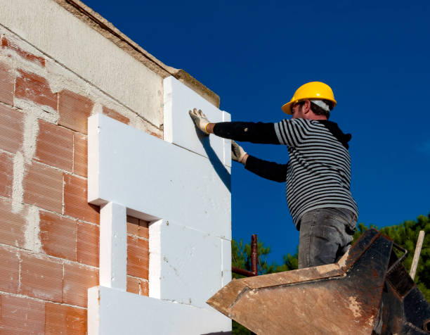 Best Specialty Insulation in Ludlow, KY