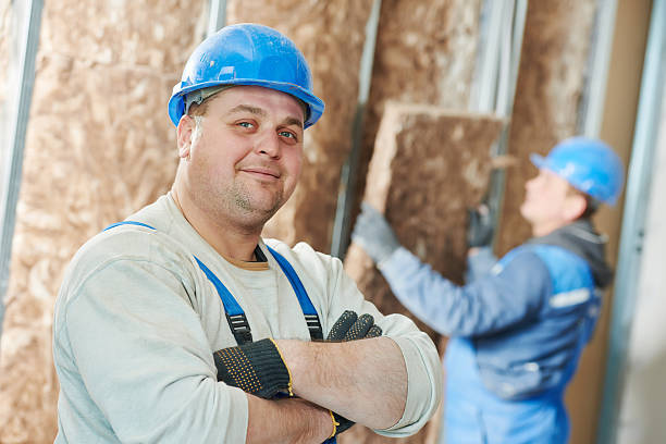 Best Insulation Installation Services in Ludlow, KY