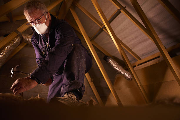 Best Commercial Insulation in Ludlow, KY